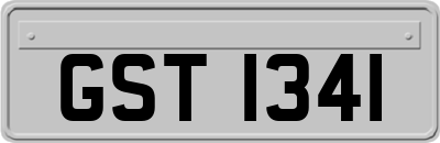 GST1341