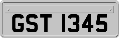 GST1345