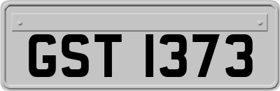 GST1373