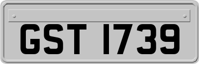 GST1739
