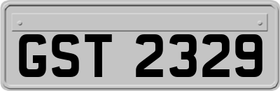 GST2329