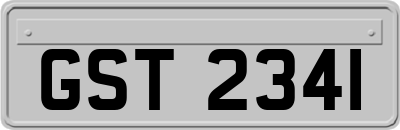 GST2341