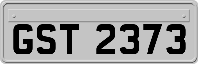 GST2373