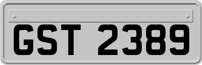 GST2389