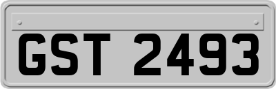 GST2493
