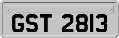 GST2813