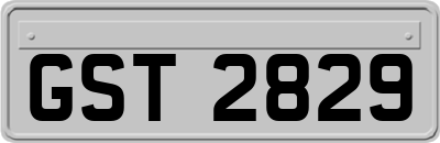 GST2829