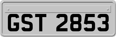 GST2853