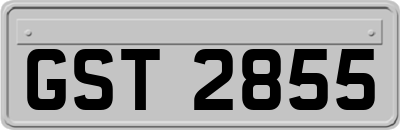 GST2855