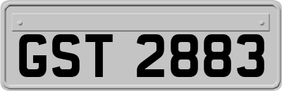 GST2883