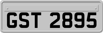 GST2895