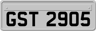 GST2905