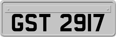 GST2917