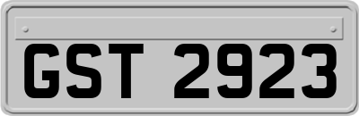 GST2923