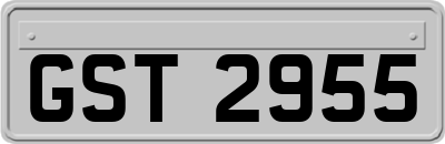 GST2955