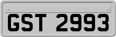 GST2993