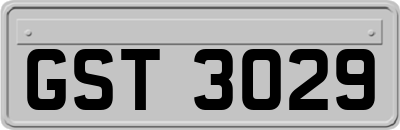 GST3029