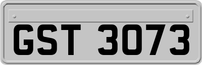 GST3073