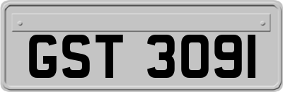 GST3091