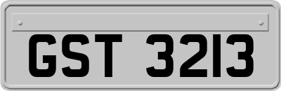 GST3213