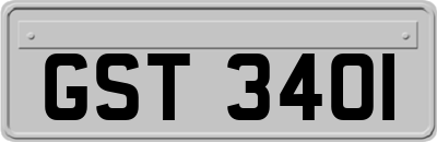 GST3401