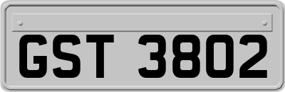 GST3802