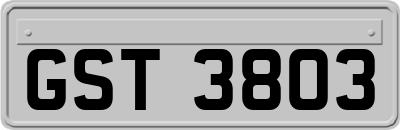 GST3803