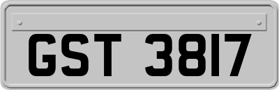 GST3817
