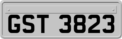 GST3823