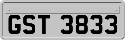 GST3833