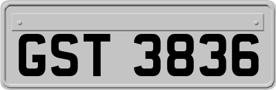 GST3836