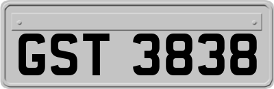 GST3838