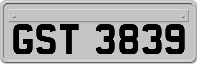 GST3839