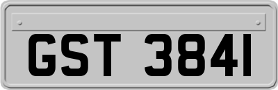 GST3841