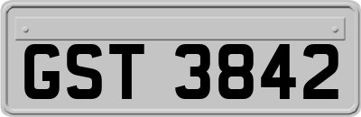 GST3842