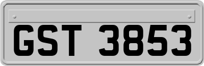GST3853