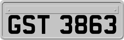 GST3863