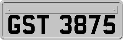 GST3875