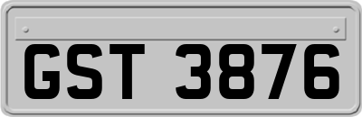 GST3876