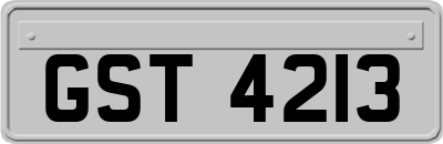 GST4213