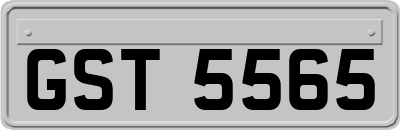GST5565