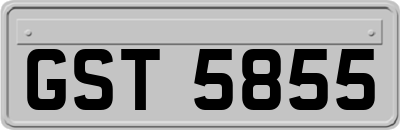 GST5855