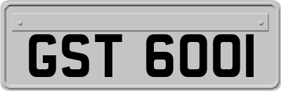 GST6001