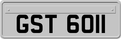 GST6011
