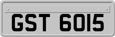 GST6015