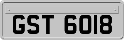 GST6018