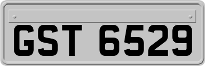 GST6529