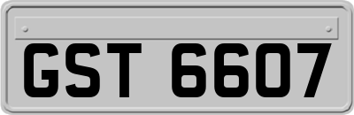 GST6607