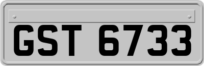 GST6733