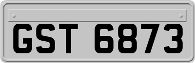 GST6873